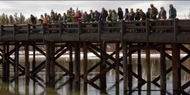 Yellowstone Fishing Bridge