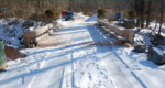 Mill Cove Cabin Run Bridge